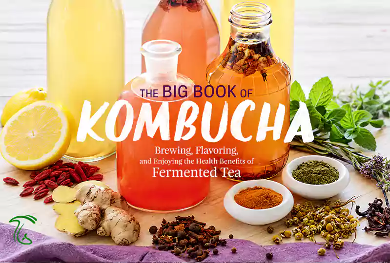جلد کتاب کامبوچا The Big Book of Kombucha نوشته Hannah Crum و Alex LaGory برای آموزش تهیه و نگهداری اسکوبی