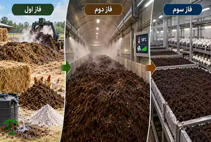 مراحل آمادهسازی بستر قارچ دکمهای از خیساندن مواد اولیه تا رشد میسلیوم در فاز سوم