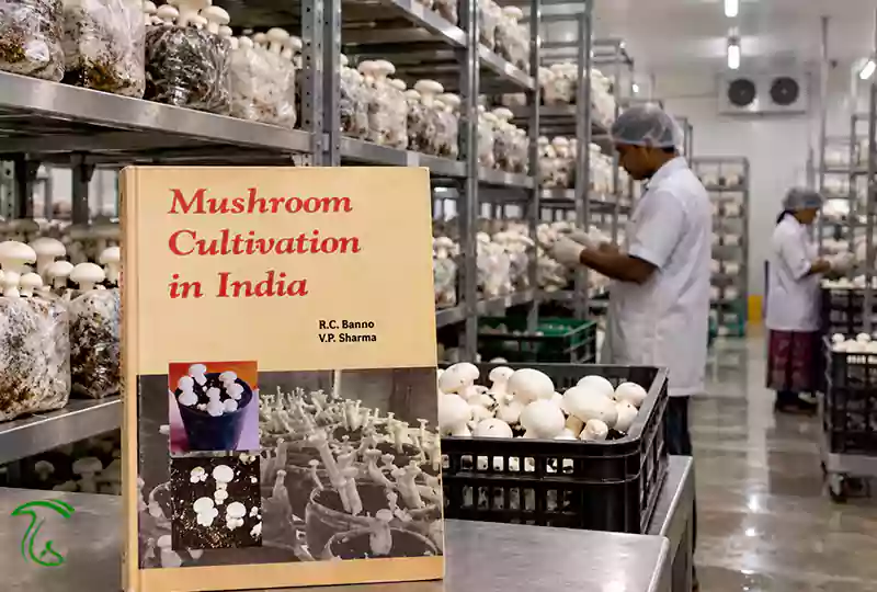 جلد کتاب Mushroom Cultivation in India نوشته B. C. Suman و V. P. Sharma