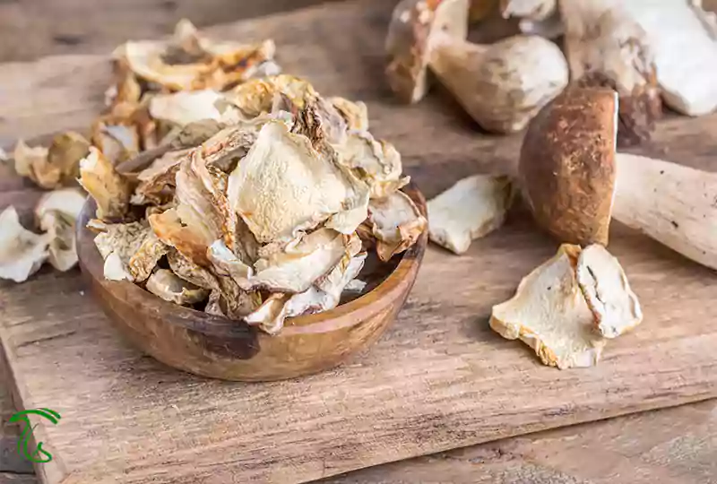 چیدمان برشهای یکنواخت قارچ شاه صدف روی سینی خشککن
