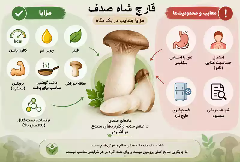 قارچ شاه صدف