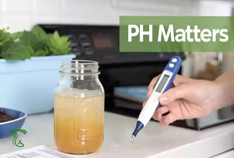 اندازهگیری pH کامبوچا با pH متر قلمی دیجیتال