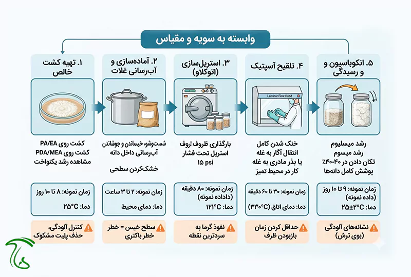 زمان و دمای مراحل تولید بذر قارچ دم بوقلمون