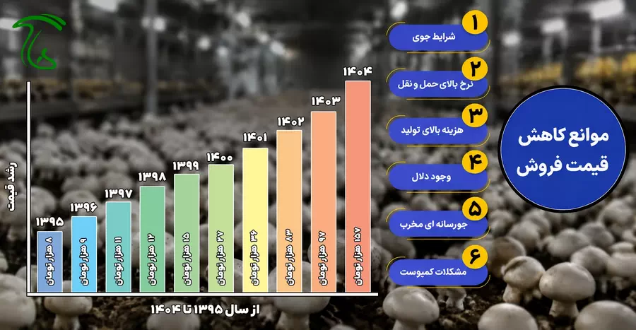 نمودار میانگین قیمت قارچ در سالهای گذشته
