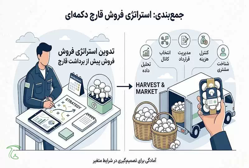 عکس مربوط به استراتژی فروش قارچ دکمه ای