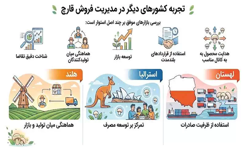 اینفوگرافی تجربه کشورهای دیگر در مدیریت فروش قارچ بررسی مدلهای هلند، استرالیا و لهستان در هماهنگی تولید و بازار، توسعه مصرف، قراردادهای بلندمدت و صادرات قارچ