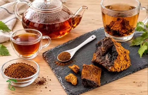طرز مصرف قارچ چاگا