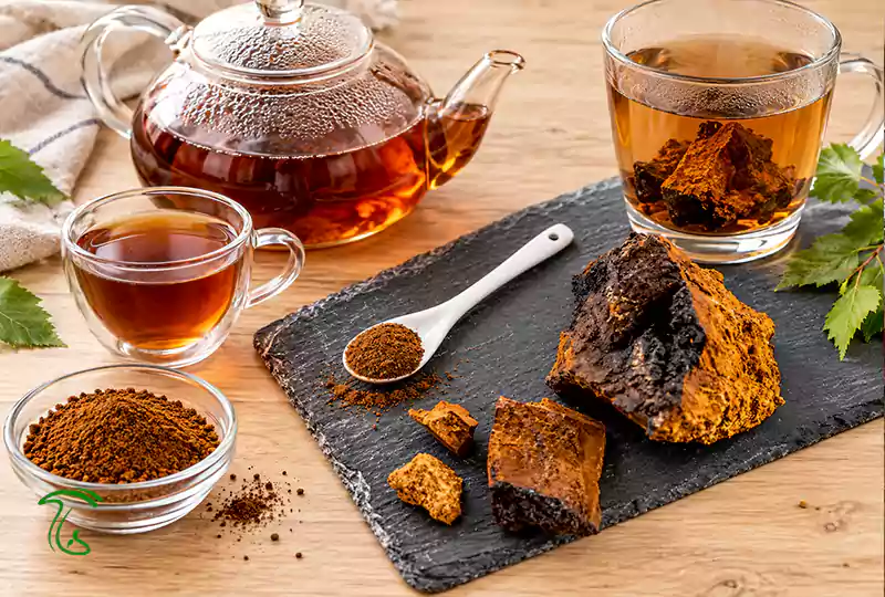 طرز مصرف قارچ چاگا؛ روش تهیه دمنوش و رعایت نکات ایمنی