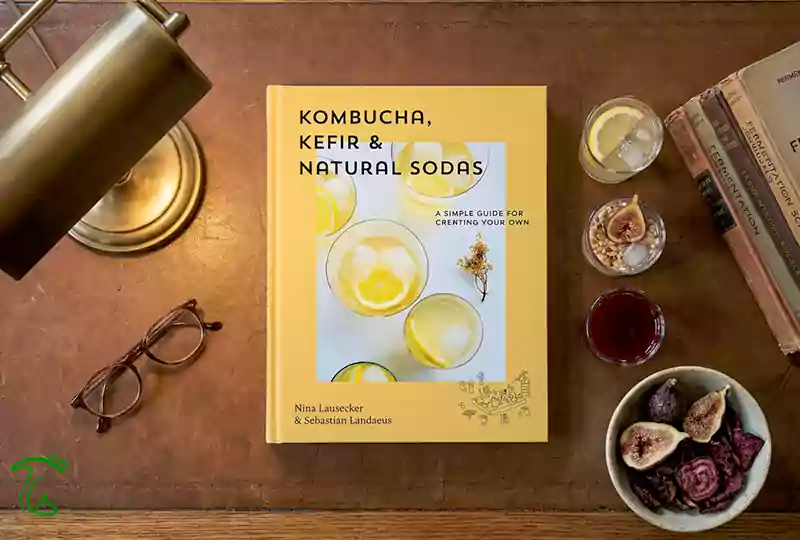 Kombucha, Kefir & Natural Sodas؛ آموزش تهیه کفیر و نوشیدنیهای تخمیری خانگی