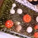 ژله سه بعدی مجلسی،ژله سه بعدی با طرح قارچ