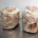 کیسه های بستر کشت قارچ صدفی